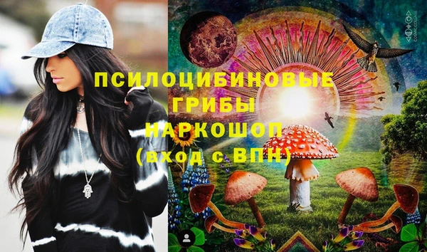 трава Абаза