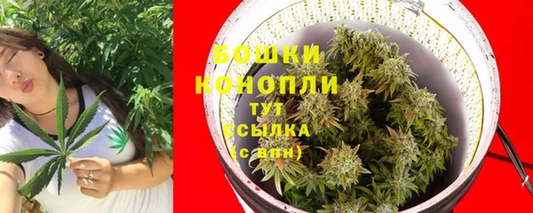 2c-b Абинск