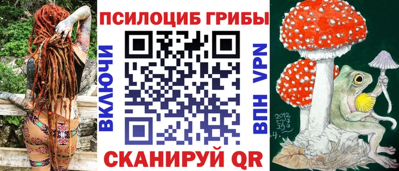 Галлюциногенные грибы Cubensis  сколько стоит  Задонск 